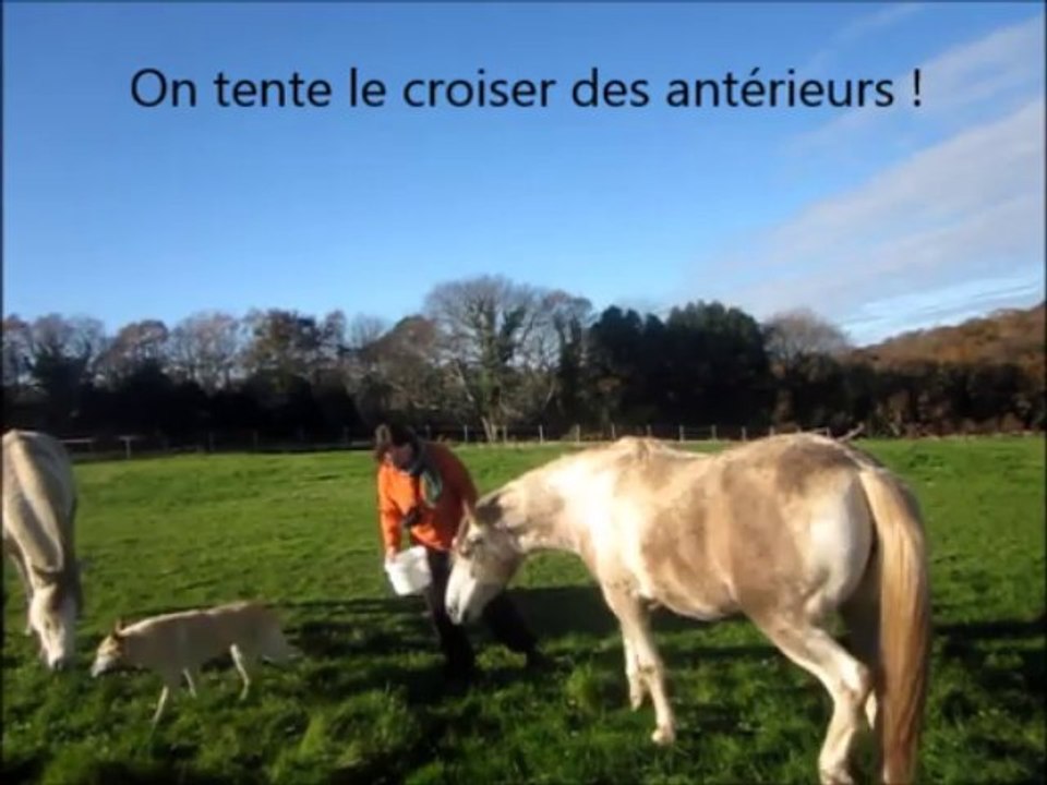 Urane le 6 décembre
