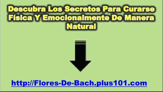 Como Preparar Flores De Bach