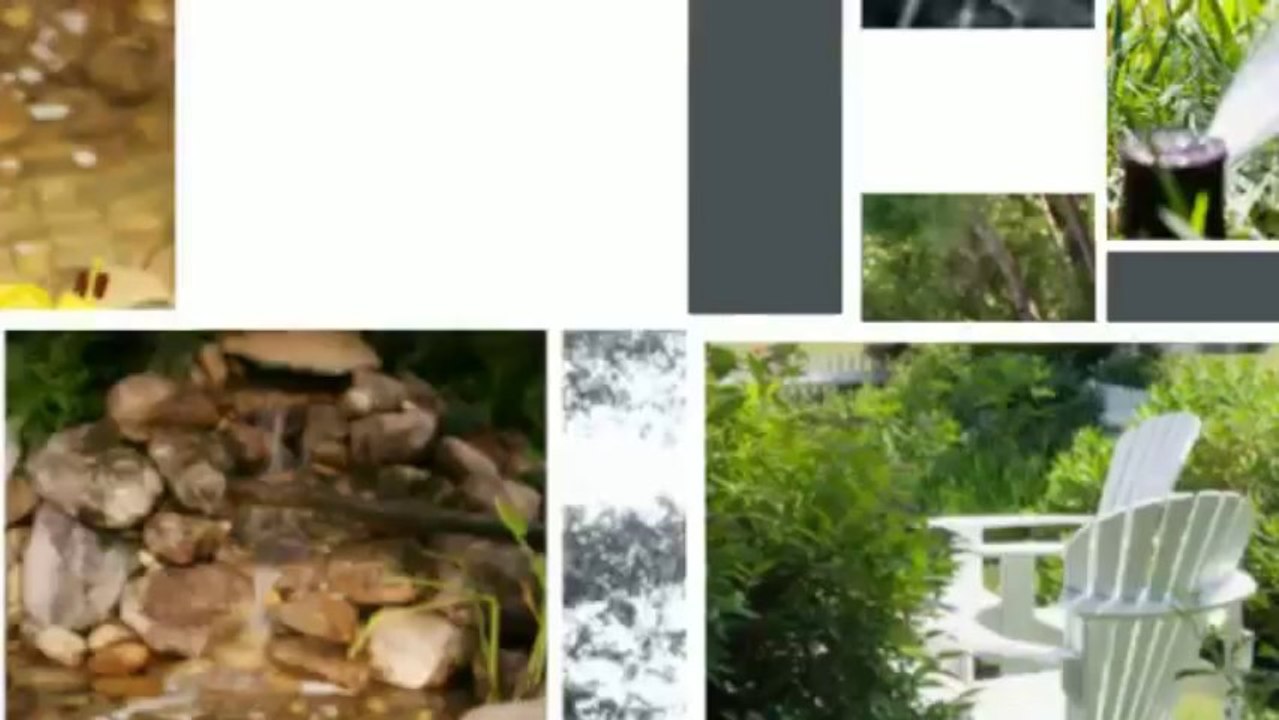 DanScapes, Inc (904) 274-4355