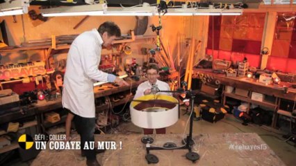 EM83 Défi: coller un cobaye au mur !