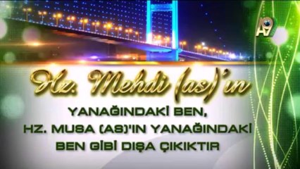 Hz. Mehdi (as)'ın Fiziksel Özellikleri