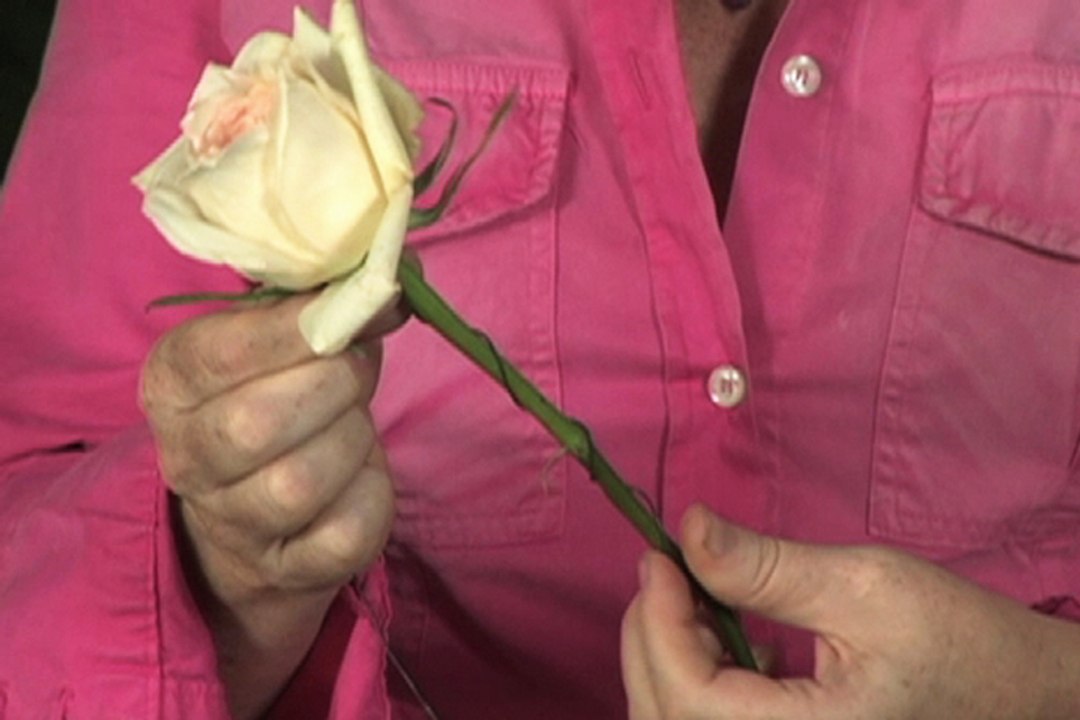 Wie verdrahten Sie eine Blume