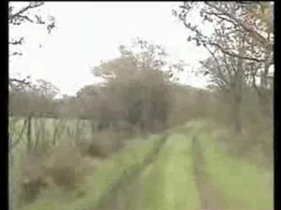 sortie dans les chemins