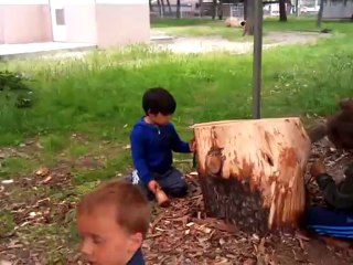 Le petit bois balaruc les bains