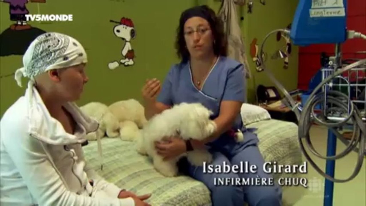 Quand l'animal devient médiateur - Qu'est-ce que la zoothérapie