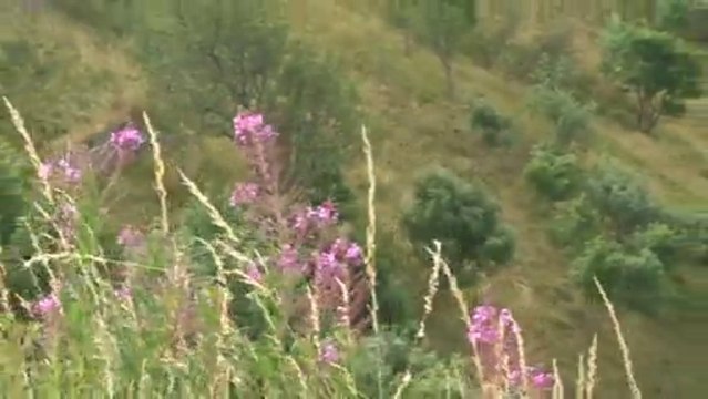 AUTOUR DES BALLONS D'ALSACE