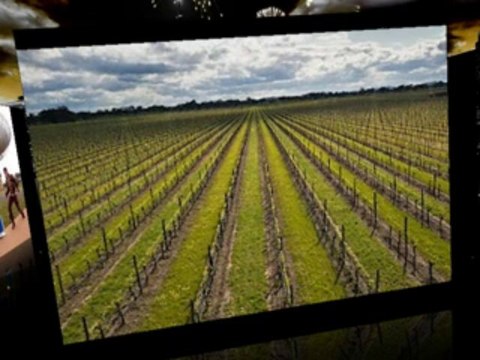 Parkes Accommodation: Offers Great Access to Attractions