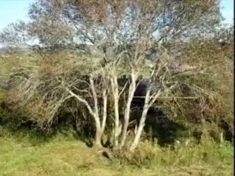 DEPART DE LAQUEUILLE, 141 R 840 & CC 72 084