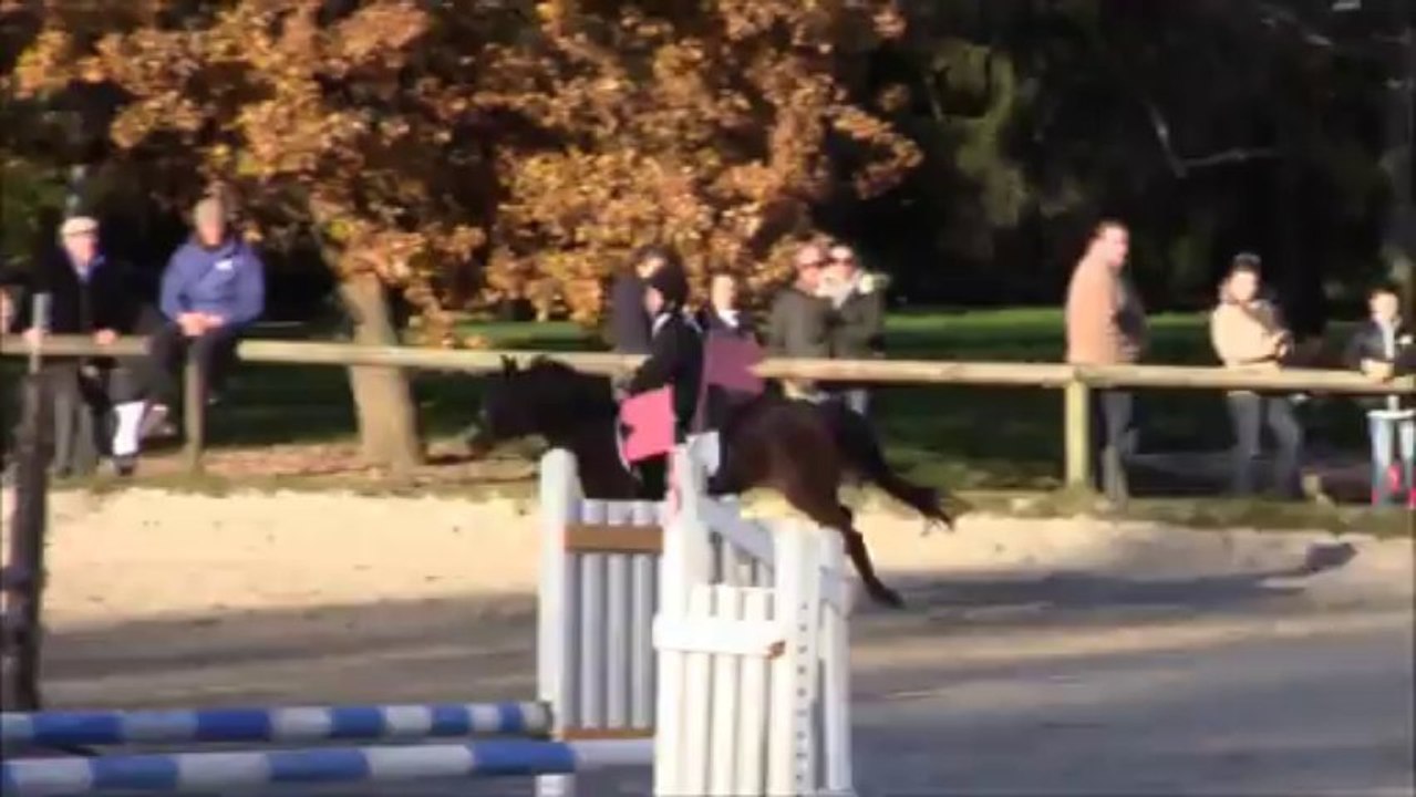 P1 Auvers Saint Georges 08 12 13