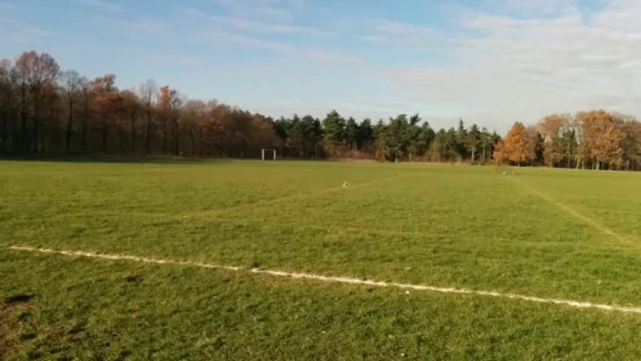 Vincennes 8-12-13 // Pilote Bruno2