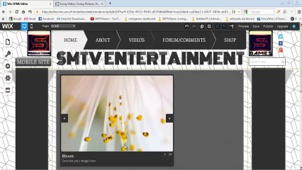 MIC ISSUES PLUS WEBSITE IN DEVELOPMENT: Channel Update