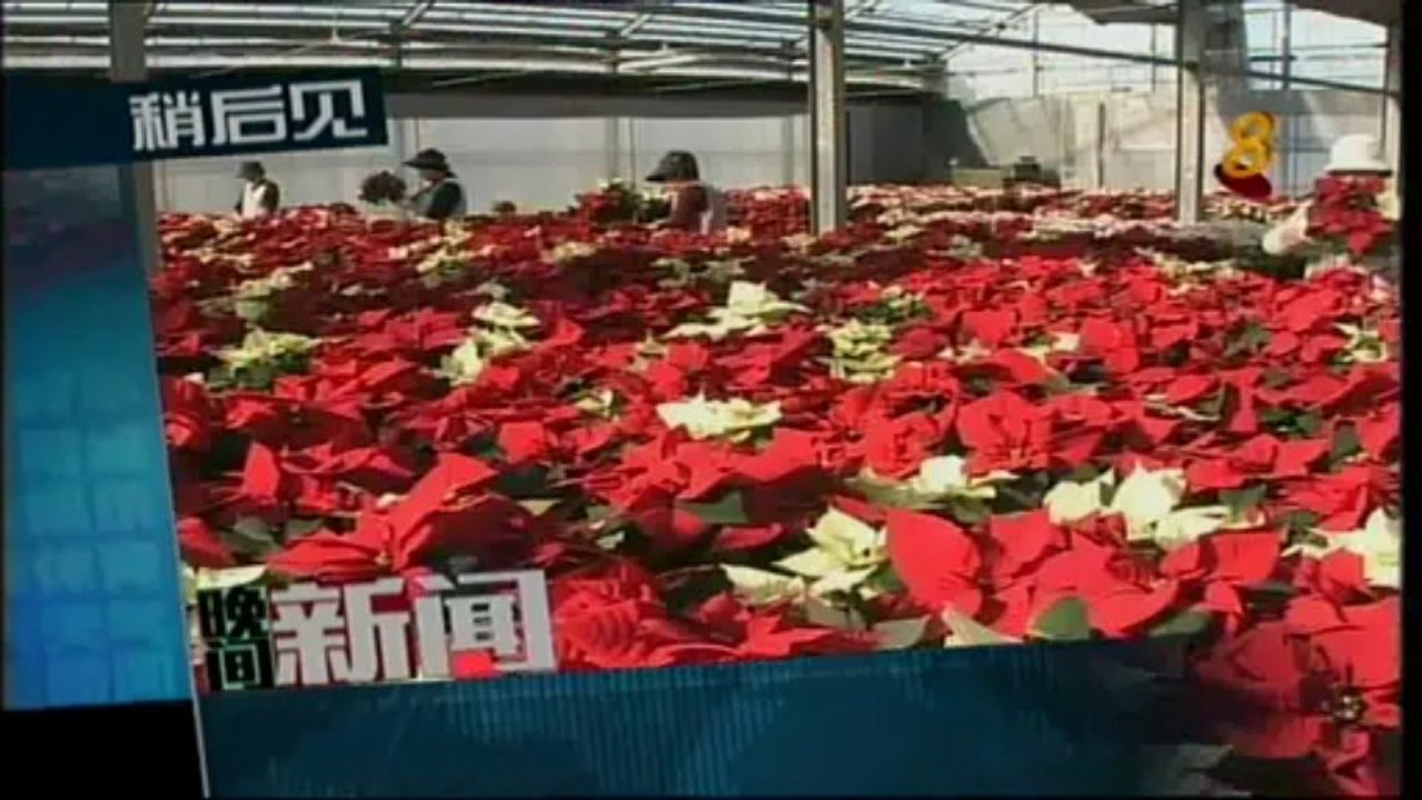 2013-12-06 2200hrs MediaCorp Channel 8 News (Friday)