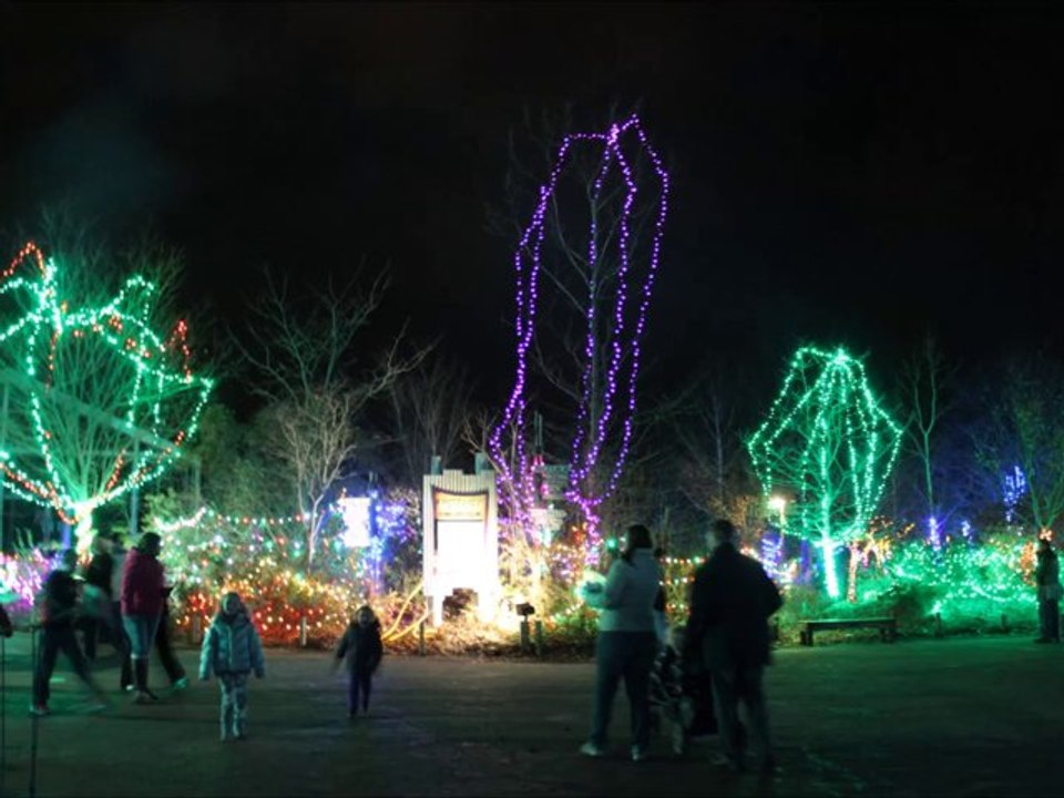 Wildlights at the Columbus Zoo 2013