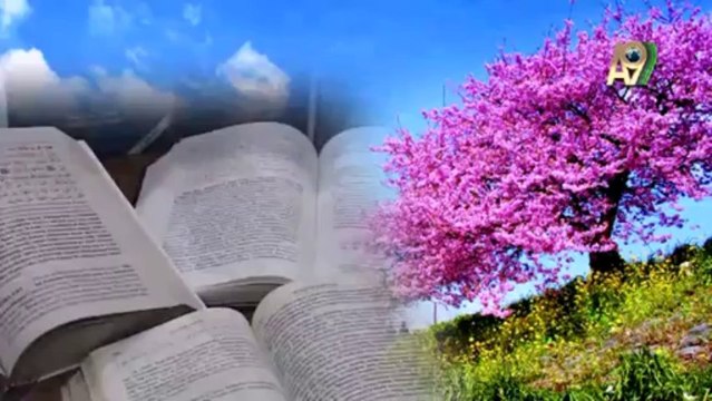 Cübbeli Ahmet Hoca İslam ahlakının yakın olduğunu anlatıyor