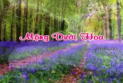 Mộng Dưới Hoa _ Tiếng Hát : PhuDu