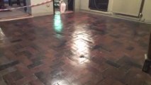 Stone Floor Cleaning Cheshire & Manchester (NuLifeFloorcare.co.uk)