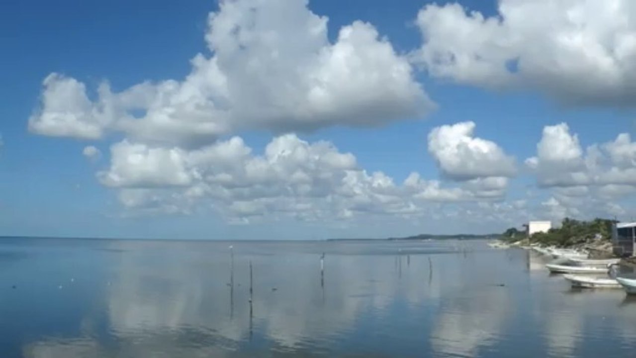 GOLFE DU MEXIQUE DANS LE YUCATAN  (MEXIQUE)  LE 21 NOVEMBRE 2013