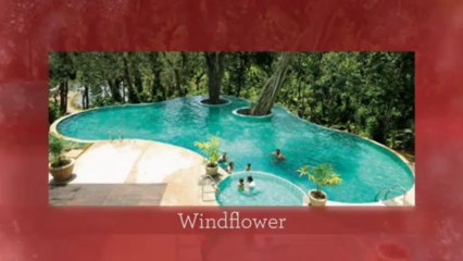 Top Resorts in Coorg