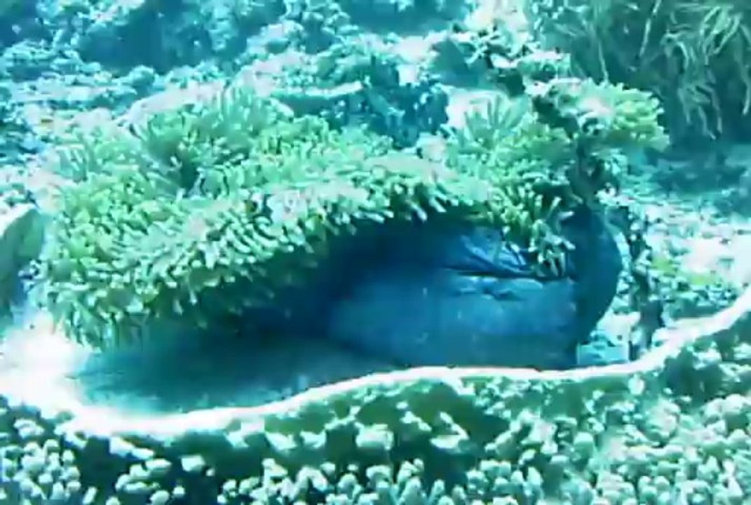 PIC_0091