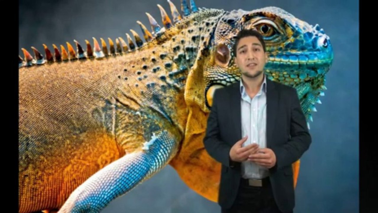 Das Wunder der Farben