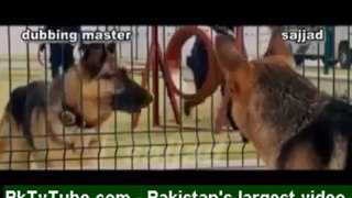 Funny Conversation between Dogs!