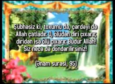 Toxumdakı yaradılış möcüzəsi