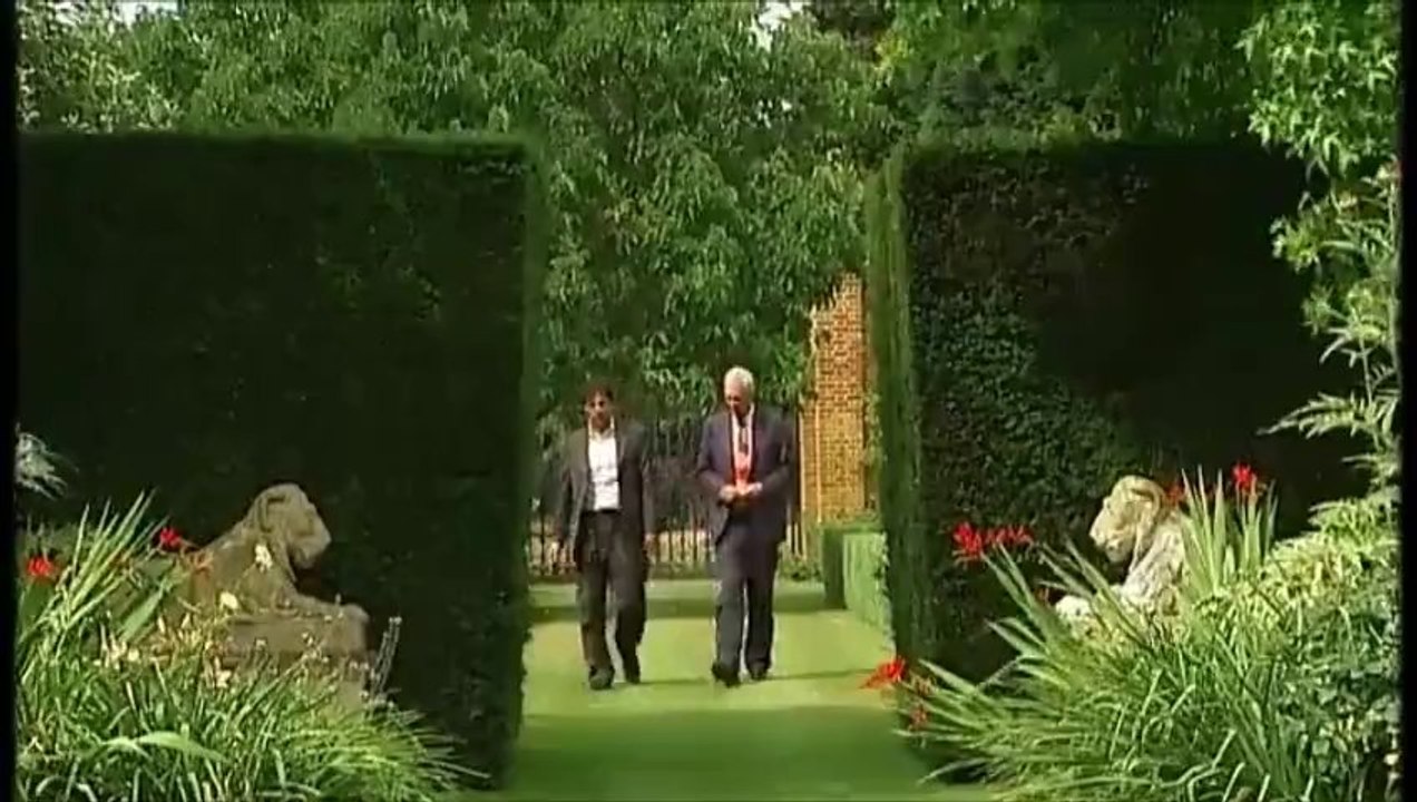 Imran Khan Walking Without Supportive Jacket