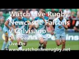 Live Newcastle Falcons vs Calvisano