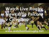 Watch Newcastle Falcons vs Calvisano Live Streaming
