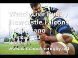 Watching Newcastle Falcons vs Calvisano Live Rugby