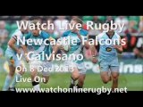 2013 Newcastle Falcons vs Calvisano Live Rugby