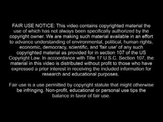 Paul Walker The Speed Demon