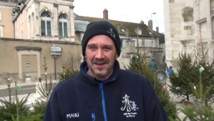 Des sapins vendus sur le parvis de la Cathédrale