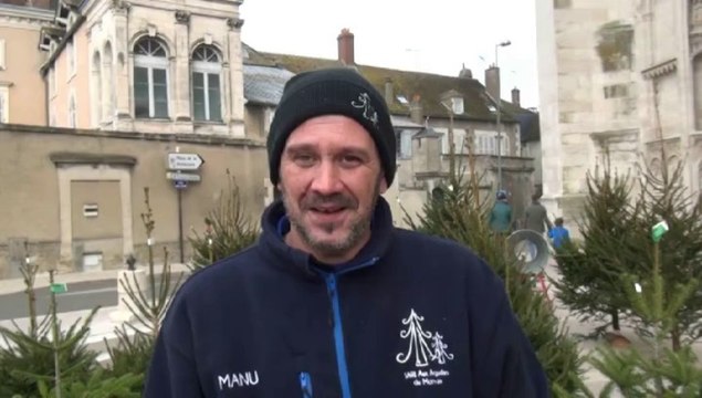 Des sapins vendus sur le parvis de la Cathédrale