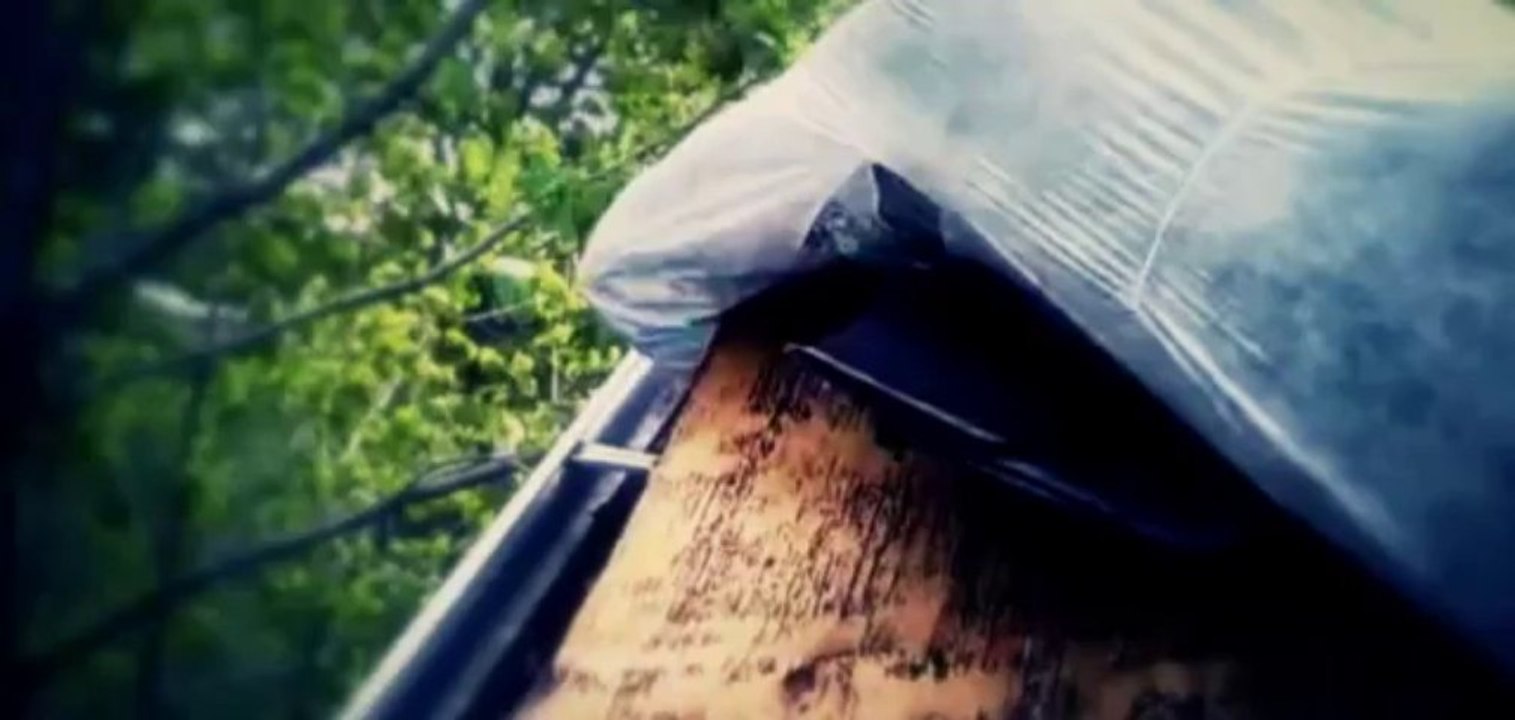 360 Wildlife Control Inc