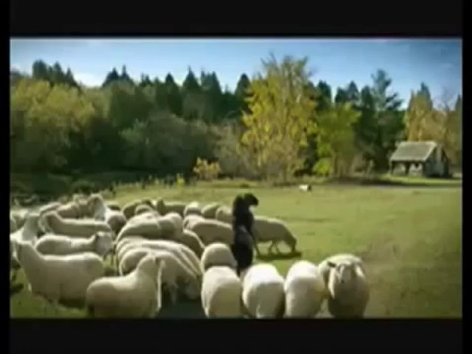 바카라>>>>T O M 5 4. C O M≪≪박카라게임