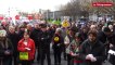 Brest. 200 à 300 manifestants contre les grands projets inutiles