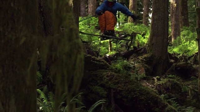 These riders are skiing in the forest.. without any snow !?!