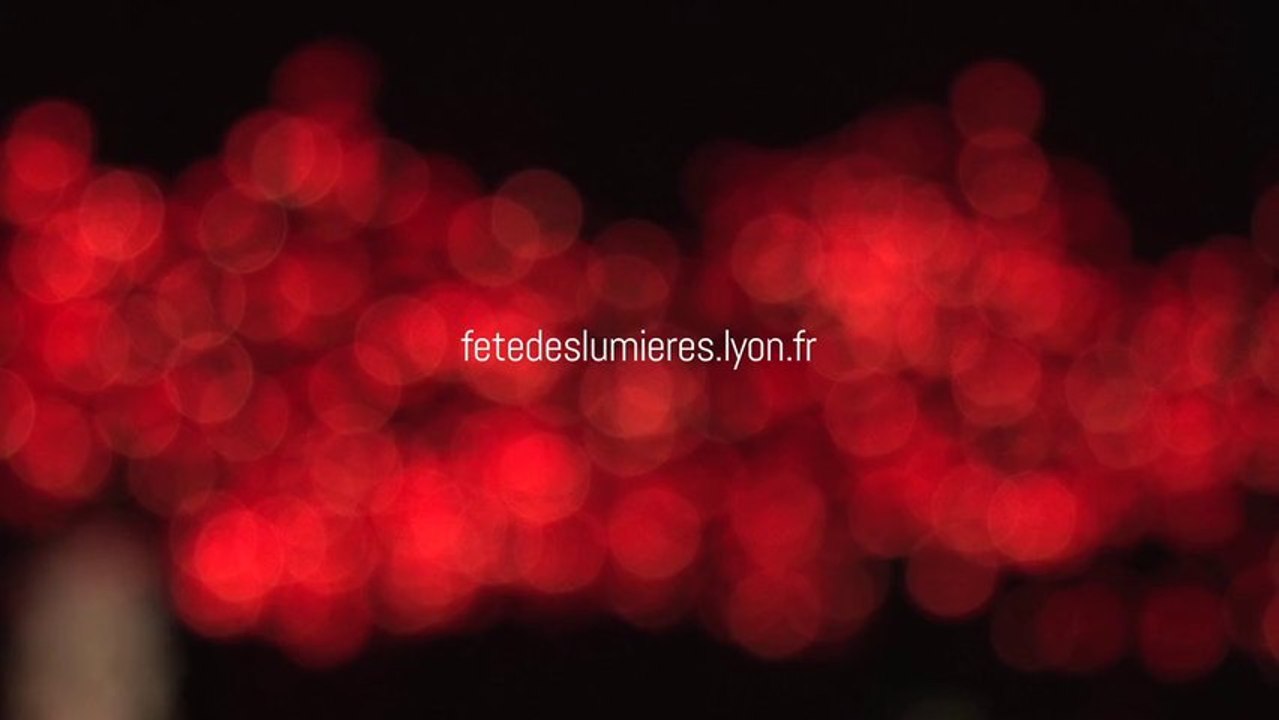 Fête des Lumières 2013 #1