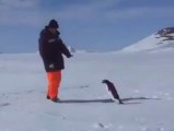 Funny Videos - Guy Is Owned By A Penguin  Facebook
