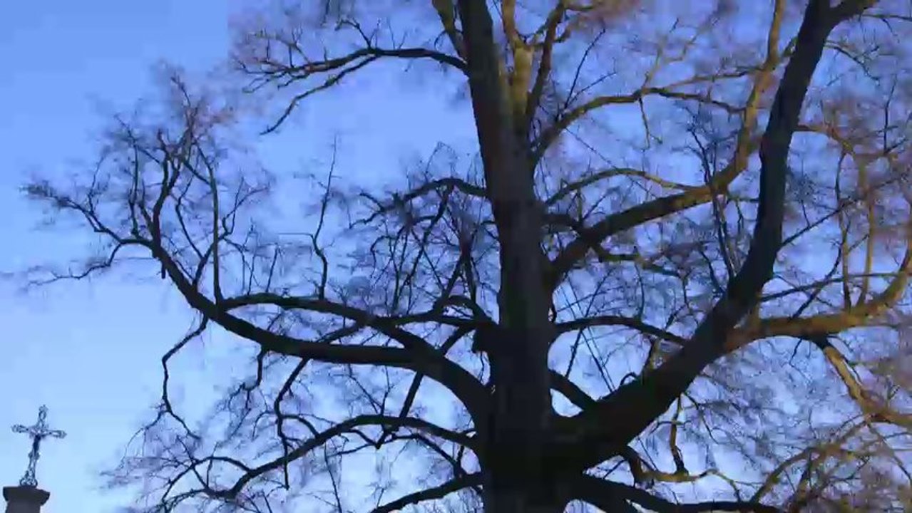 Faszination Kraftorte - die Sprache der Erde