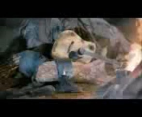 필리핀바카라▦▶T O M 5 4. C O M◀▦식보사이트