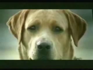 신정환바카라◀◀◀T O M 5 4. C O M▶▶▶박카라