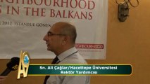 Ali Çağlar / Hacettepe Üniversitesi Rektör Yardımcısı