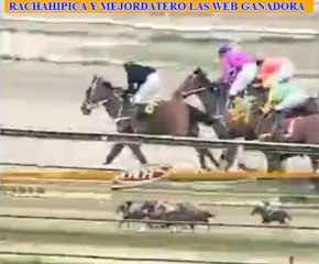 larinconada 5 CARRERA SABADO 07 DE DICIEMBRE DEL 2013