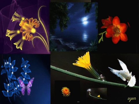 SİBEL CAN DELİ YÜREĞİM