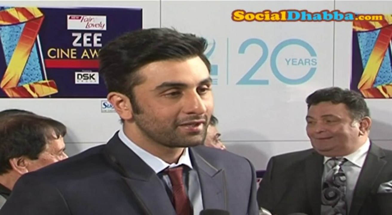 Zee Cine Awards 2013 .Zee Cine 2013 . Zee Awards 2013