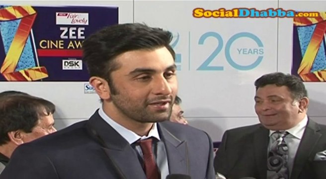 Zee Cine Awards 2013 .Zee Cine 2013 . Zee Awards 2013