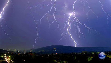 Whipped cream - Herb Alpert