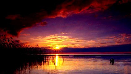 The work song - Herb Alpert